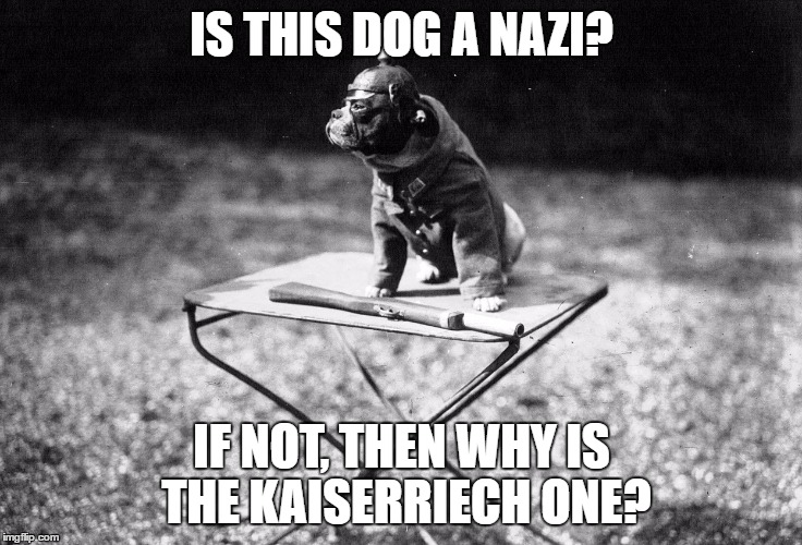 IS THIS DOG A NAZI? IF NOT, THEN WHY IS THE KAISERRIECH ONE? | image tagged in war,dogs,germany | made w/ Imgflip meme maker