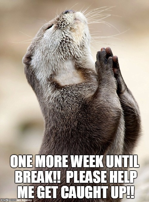 Praying Otter | ONE MORE WEEK UNTIL BREAK!!  PLEASE HELP ME GET CAUGHT UP!! | image tagged in praying otter | made w/ Imgflip meme maker