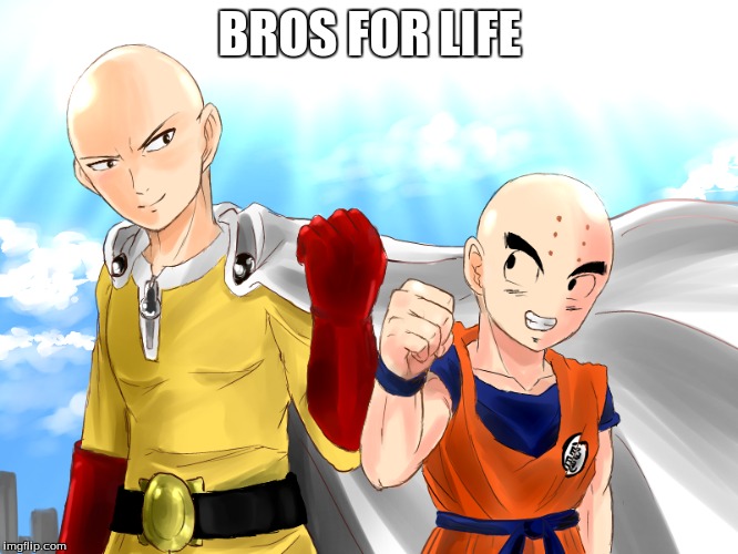 bros | BROS FOR LIFE | image tagged in one punch man | made w/ Imgflip meme maker