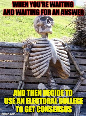 Waiting Skeleton | WHEN YOU'RE WAITING AND WAITING FOR AN ANSWER; AND THEN DECIDE TO USE AN ELECTORAL COLLEGE TO GET CONSENSUS | image tagged in memes,waiting skeleton | made w/ Imgflip meme maker