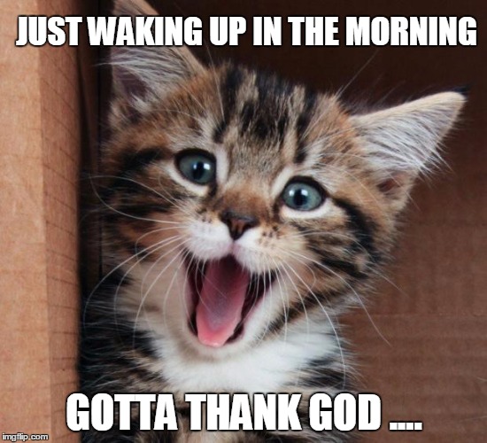 Happy Cat | JUST WAKING UP IN THE MORNING; GOTTA THANK GOD .... | image tagged in memes,cats | made w/ Imgflip meme maker