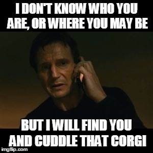 Liam Neeson Taken Meme | I DON'T KNOW WHO YOU ARE, OR WHERE YOU MAY BE; BUT I WILL FIND YOU AND CUDDLE THAT CORGI | image tagged in memes,liam neeson taken | made w/ Imgflip meme maker