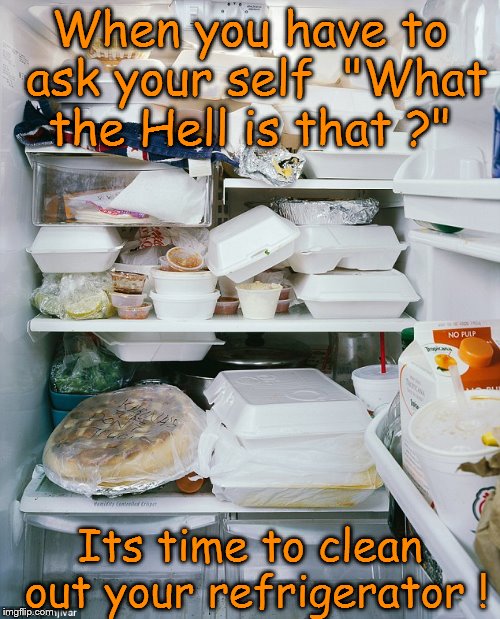 Its time to clean your refrigerator when | When you have to ask your self  "What the Hell is that ?"; Its time to clean out your refrigerator ! | image tagged in refridgerators blues | made w/ Imgflip meme maker