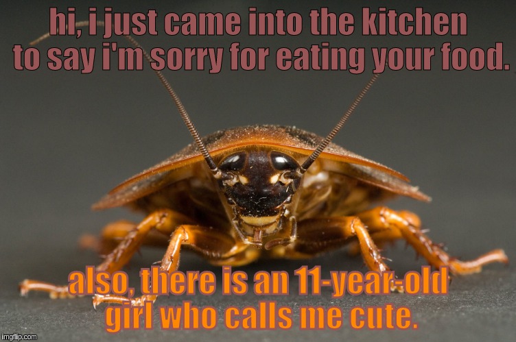 that 11-year-old is me. |  hi, i just came into the kitchen to say i'm sorry for eating your food. also, there is an 11-year-old girl who calls me cute. | image tagged in cockroach | made w/ Imgflip meme maker