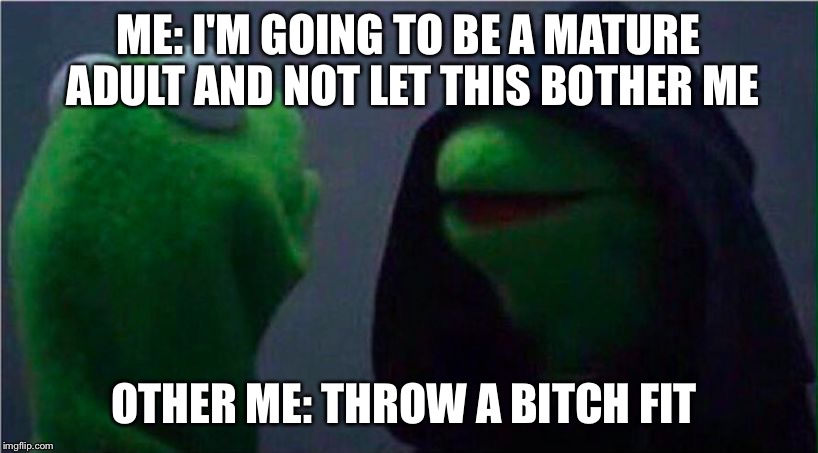 me to other me | ME: I'M GOING TO BE A MATURE ADULT AND NOT LET THIS BOTHER ME; OTHER ME: THROW A BITCH FIT | image tagged in me to other me | made w/ Imgflip meme maker