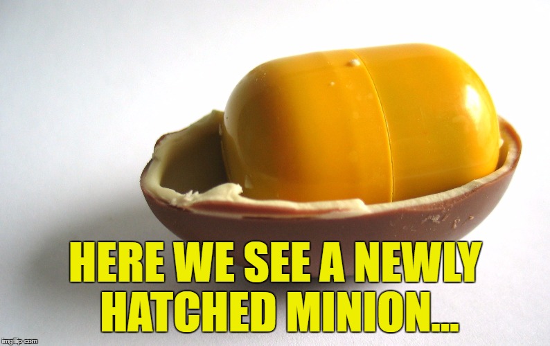 It's better if you read it in David Attenborough's voice... | HERE WE SEE A NEWLY HATCHED MINION... | image tagged in kinder minion,memes,minions,david attenborough,animals,movies | made w/ Imgflip meme maker
