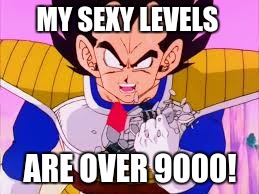 MY SEXY LEVELS; ARE OVER 9000! | image tagged in vegeta over 9000 | made w/ Imgflip meme maker