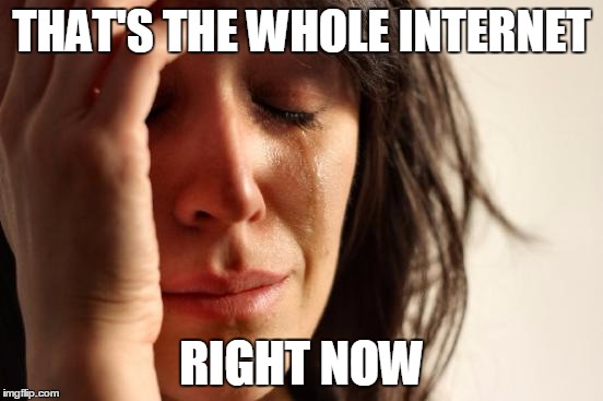 First World Problems Meme | THAT'S THE WHOLE INTERNET RIGHT NOW | image tagged in memes,first world problems | made w/ Imgflip meme maker