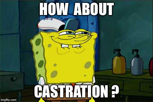 Don't You Squidward Meme | HOW  ABOUT CASTRATION ? | image tagged in memes,dont you squidward | made w/ Imgflip meme maker