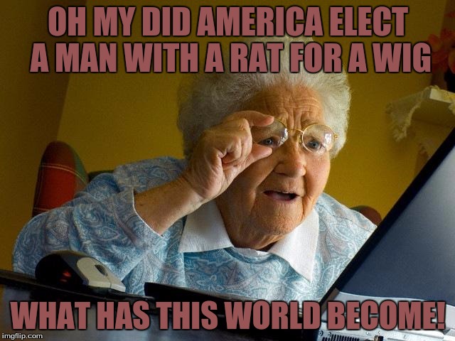 Grandma Finds The Internet Meme | OH MY DID AMERICA ELECT A MAN WITH A RAT FOR A WIG; WHAT HAS THIS WORLD BECOME! | image tagged in memes,grandma finds the internet | made w/ Imgflip meme maker