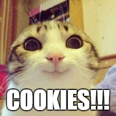 COOKIES!!! | COOKIES!!! | image tagged in funny cats,cats,cookies,anyone who loves cookies,2016,rj45 | made w/ Imgflip meme maker