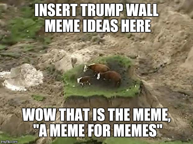 cow paddy  |  INSERT TRUMP WALL MEME IDEAS HERE; WOW THAT IS THE MEME, "A MEME FOR MEMES" | image tagged in cow paddy | made w/ Imgflip meme maker
