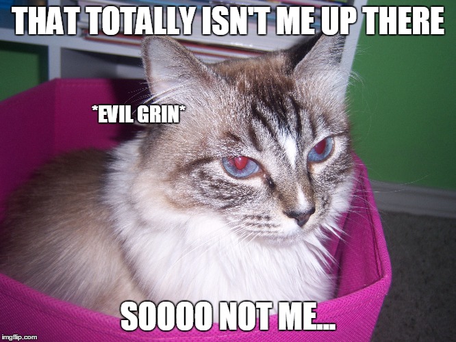 THAT TOTALLY ISN'T ME UP THERE SOOOO NOT ME... *EVIL GRIN* | made w/ Imgflip meme maker
