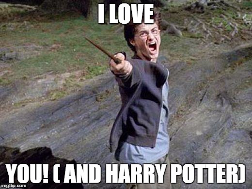 Harry Potter Yelling | I LOVE; YOU! ( AND HARRY POTTER) | image tagged in harry potter yelling | made w/ Imgflip meme maker