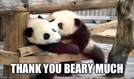 THANK YOU BEARY MUCH | made w/ Imgflip meme maker