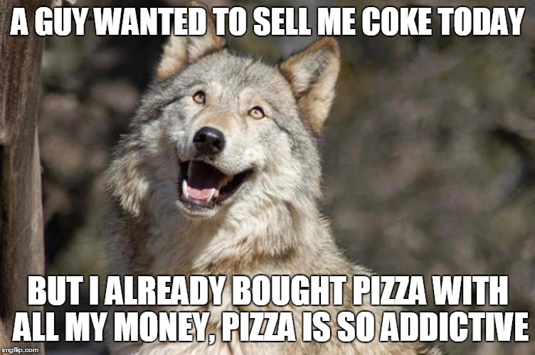 Optimistic Moon Moon Wolf Vanadium Wolf | A GUY WANTED TO SELL ME COKE TODAY; BUT I ALREADY BOUGHT PIZZA WITH ALL MY MONEY, PIZZA IS SO ADDICTIVE | image tagged in optimistic moon moon wolf vanadium wolf | made w/ Imgflip meme maker