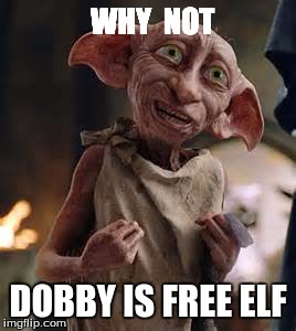 why not | WHY  NOT; DOBBY IS FREE ELF | image tagged in dobby | made w/ Imgflip meme maker