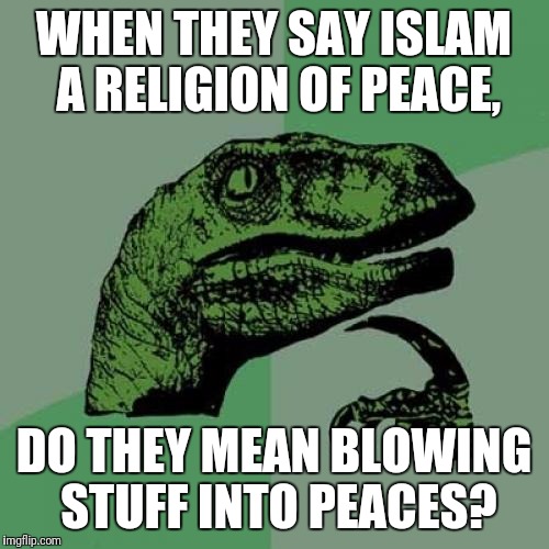 Philosoraptor | WHEN THEY SAY ISLAM A RELIGION OF PEACE, DO THEY MEAN BLOWING STUFF INTO PEACES? | image tagged in memes,philosoraptor,islam | made w/ Imgflip meme maker