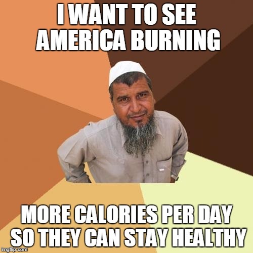 Ordinary Muslim Man | I WANT TO SEE AMERICA BURNING; MORE CALORIES PER DAY SO THEY CAN STAY HEALTHY | image tagged in memes,ordinary muslim man | made w/ Imgflip meme maker