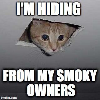 Ceiling Cat Meme | I'M HIDING; FROM MY SMOKY OWNERS | image tagged in memes,ceiling cat | made w/ Imgflip meme maker