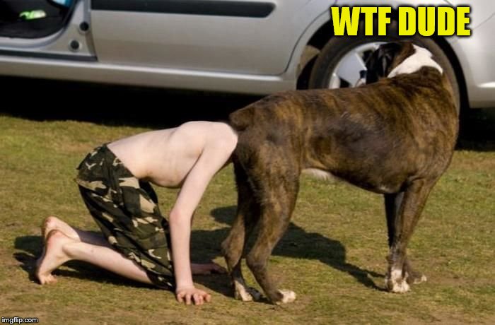 Boxer Butt | WTF DUDE | image tagged in boxer butt | made w/ Imgflip meme maker