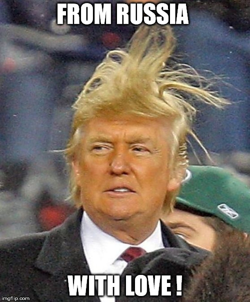 Donald Trumph hair | FROM RUSSIA; WITH LOVE ! | image tagged in donald trumph hair | made w/ Imgflip meme maker