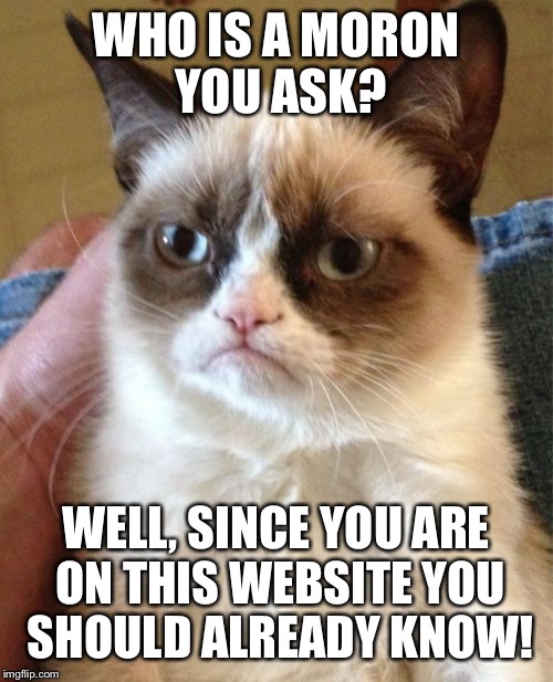 Sorry fellow imgflippers, this is what grumpy would say, not me. | WHO IS A MORON YOU ASK? WELL, SINCE YOU ARE ON THIS WEBSITE YOU SHOULD ALREADY KNOW! | image tagged in memes,grumpy cat | made w/ Imgflip meme maker