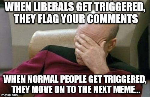 Captain Picard Facepalm | WHEN LIBERALS GET TRIGGERED, THEY FLAG YOUR COMMENTS; WHEN NORMAL PEOPLE GET TRIGGERED, THEY MOVE ON TO THE NEXT MEME... | image tagged in memes,captain picard facepalm | made w/ Imgflip meme maker