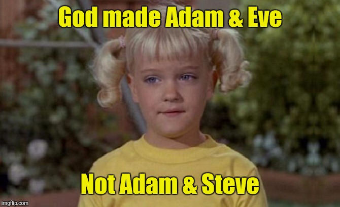 Cindy Brady | God made Adam & Eve; Not Adam & Steve | image tagged in true | made w/ Imgflip meme maker