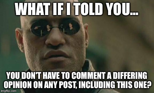 Matrix Morpheus Meme | WHAT IF I TOLD YOU... YOU DON'T HAVE TO COMMENT A DIFFERING OPINION ON ANY POST, INCLUDING THIS ONE? | image tagged in memes,matrix morpheus | made w/ Imgflip meme maker