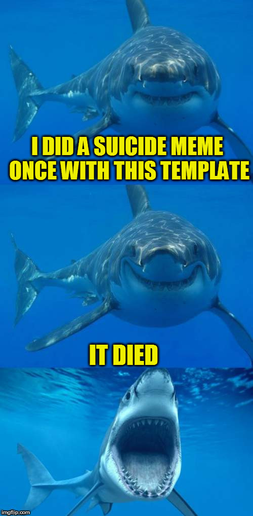 Bad Shark Pun  | I DID A SUICIDE MEME ONCE WITH THIS TEMPLATE IT DIED | image tagged in bad shark pun | made w/ Imgflip meme maker