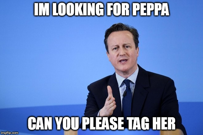 David Cameron | IM LOOKING FOR PEPPA; CAN YOU PLEASE TAG HER | image tagged in david cameron | made w/ Imgflip meme maker