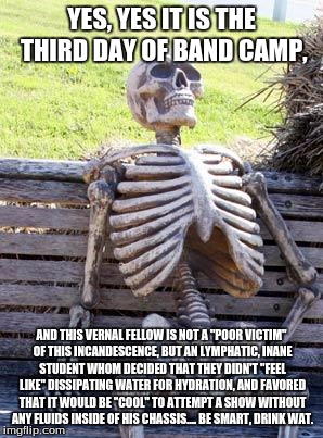 Waiting Skeleton Meme | YES, YES IT IS THE THIRD DAY OF BAND CAMP, AND THIS VERNAL FELLOW IS NOT A "POOR VICTIM" OF THIS INCANDESCENCE, BUT AN LYMPHATIC, INANE STUDENT WHOM DECIDED THAT THEY DIDN'T "FEEL LIKE" DISSIPATING WATER FOR HYDRATION, AND FAVORED THAT IT WOULD BE "COOL" TO ATTEMPT A SHOW WITHOUT ANY FLUIDS INSIDE OF HIS CHASSIS.... BE SMART, DRINK WAT. | image tagged in memes,waiting skeleton | made w/ Imgflip meme maker