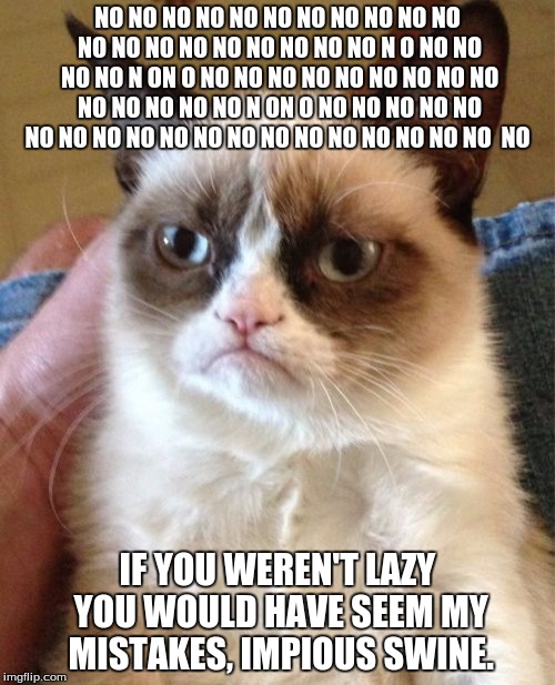 Grumpy Cat Meme | NO NO NO NO NO NO NO NO NO NO NO NO NO NO NO NO NO NO NO NO N O NO NO NO NO N ON O NO NO NO NO NO NO NO NO NO NO NO NO NO NO N ON O NO NO NO NO NO NO NO NO NO NO NO NO NO NO NO NO NO NO NO  NO; IF YOU WEREN'T LAZY YOU WOULD HAVE SEEM MY MISTAKES, IMPIOUS SWINE. | image tagged in memes,grumpy cat | made w/ Imgflip meme maker