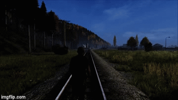 DayZ literally unplayable | image tagged in gifs | made w/ Imgflip video-to-gif maker