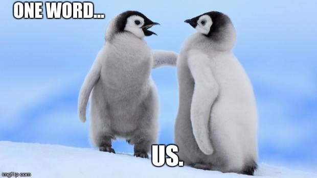 Penguin love | ONE WORD... US. | image tagged in penguin love | made w/ Imgflip meme maker