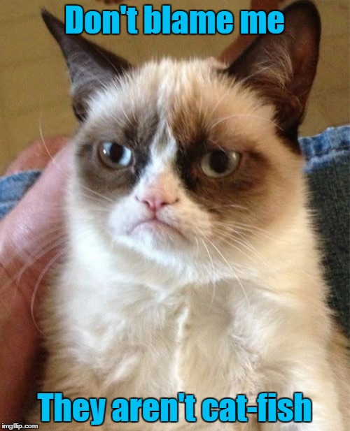 Grumpy Cat Meme | Don't blame me They aren't cat-fish | image tagged in memes,grumpy cat | made w/ Imgflip meme maker