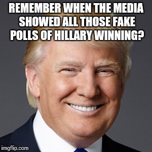 REMEMBER WHEN THE MEDIA SHOWED ALL THOSE FAKE POLLS OF HILLARY WINNING? | made w/ Imgflip meme maker