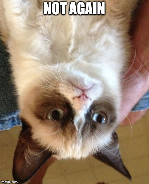Grumpy Cat Meme | NOT AGAIN | image tagged in memes,grumpy cat | made w/ Imgflip meme maker