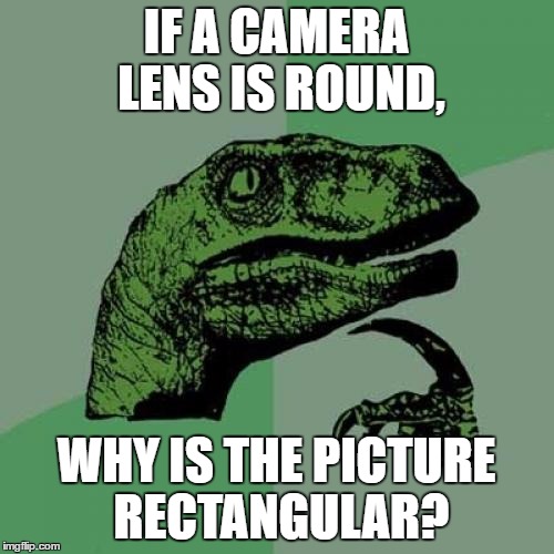 Philosoraptor Meme | IF A CAMERA LENS IS ROUND, WHY IS THE PICTURE RECTANGULAR? | image tagged in memes,philosoraptor | made w/ Imgflip meme maker