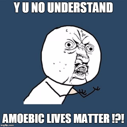 Y U No Meme | Y U NO UNDERSTAND AMOEBIC LIVES MATTER !?! | image tagged in memes,y u no | made w/ Imgflip meme maker