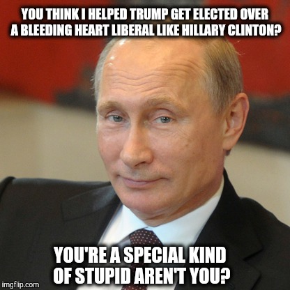 really??? | YOU THINK I HELPED TRUMP GET ELECTED OVER A BLEEDING HEART LIBERAL LIKE HILLARY CLINTON? YOU'RE A SPECIAL KIND OF STUPID AREN'T YOU? | image tagged in politics | made w/ Imgflip meme maker