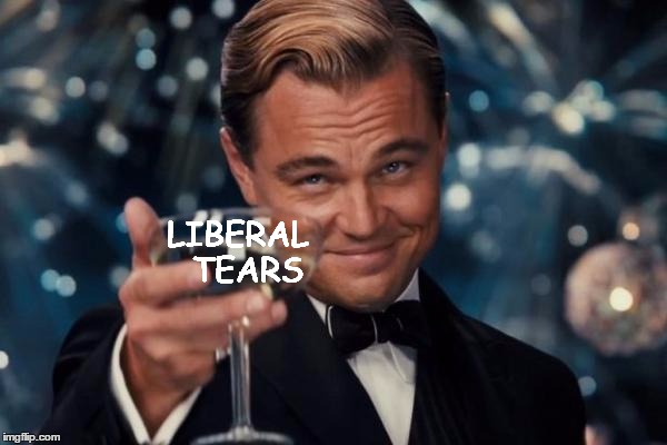 Leonardo Dicaprio Cheers | LIBERAL 
TEARS | image tagged in memes,leonardo dicaprio cheers,liberal,tears | made w/ Imgflip meme maker