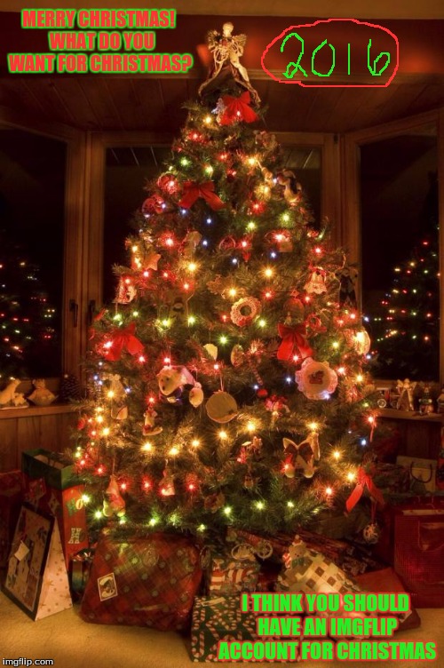 Christmas Tree | MERRY CHRISTMAS! 
WHAT DO YOU WANT FOR CHRISTMAS? I THINK YOU SHOULD HAVE AN IMGFLIP ACCOUNT FOR CHRISTMAS | image tagged in christmas tree | made w/ Imgflip meme maker