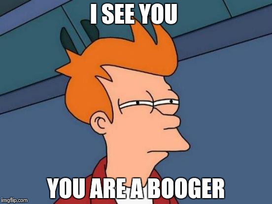 Futurama Fry | I SEE YOU; YOU ARE A BOOGER | image tagged in memes,futurama fry | made w/ Imgflip meme maker