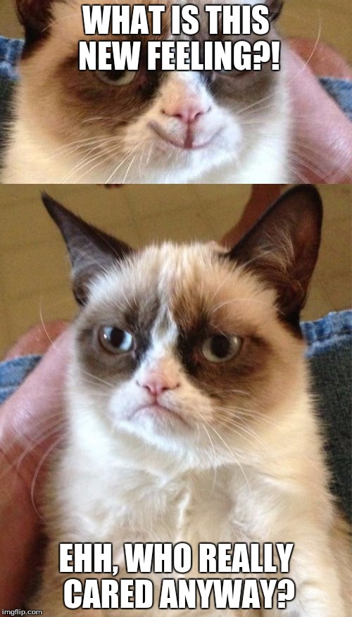 Grumpy Cat | WHAT IS THIS NEW FEELING?! EHH, WHO REALLY CARED ANYWAY? | image tagged in grumpy cat | made w/ Imgflip meme maker