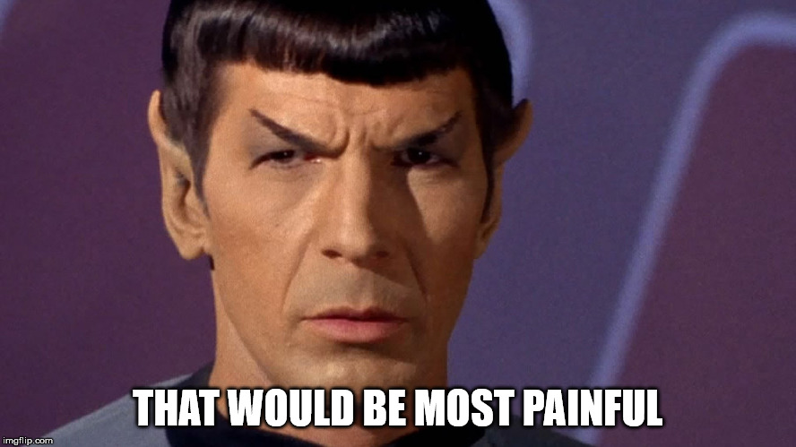 Spock Is Serious | THAT WOULD BE MOST PAINFUL | image tagged in spock is serious | made w/ Imgflip meme maker