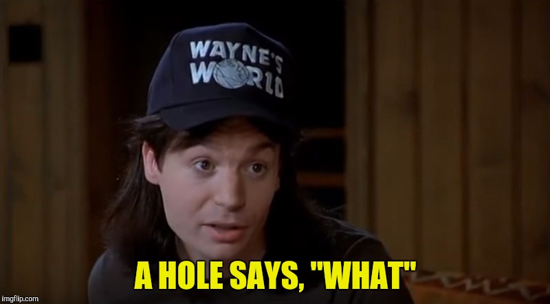 A HOLE SAYS, "WHAT" | made w/ Imgflip meme maker
