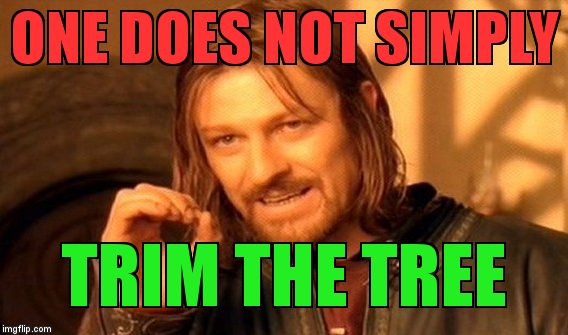 One Does Not Simply Meme | ONE DOES NOT SIMPLY; TRIM THE TREE | image tagged in memes,one does not simply | made w/ Imgflip meme maker