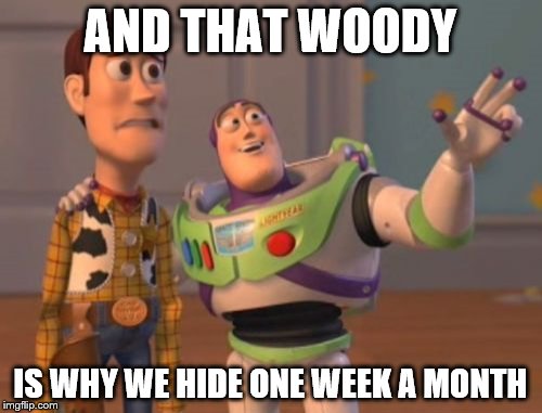X, X Everywhere Meme | AND THAT WOODY IS WHY WE HIDE ONE WEEK A MONTH | image tagged in memes,x x everywhere | made w/ Imgflip meme maker